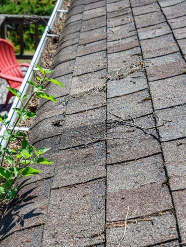 AdobeStock_134992985